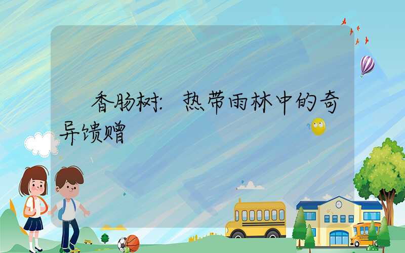 香肠树:热带雨林中的奇异馈赠